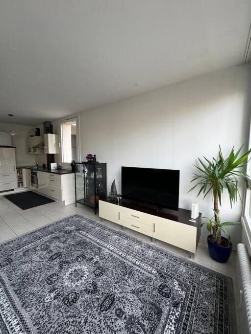 Schoene In Zentraler Lage Apartment